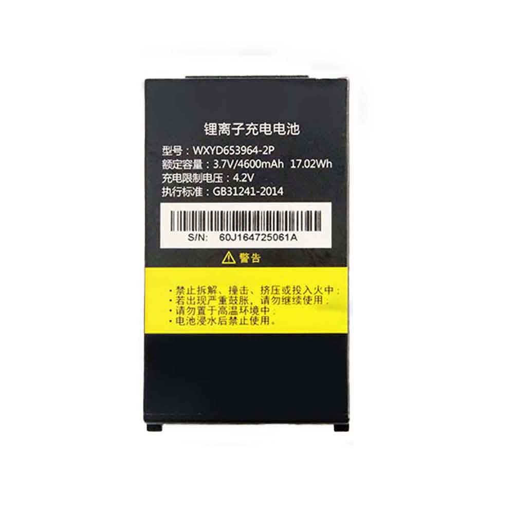 iData WXYD653964-2P 3.7V 4600mAh Replacement Battery